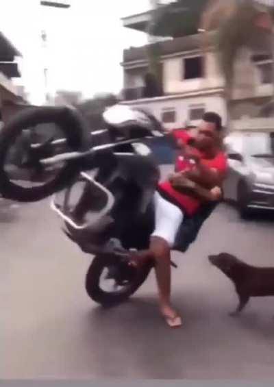 VOVÓ V1D4 L0K4 😎