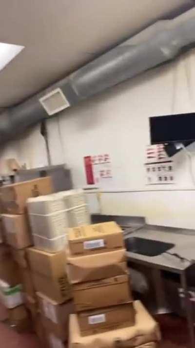 Rat Infested Kitchen