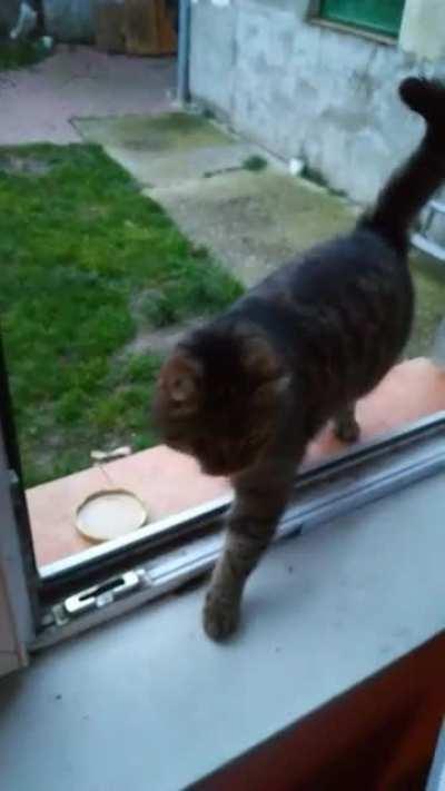 I don't understand...