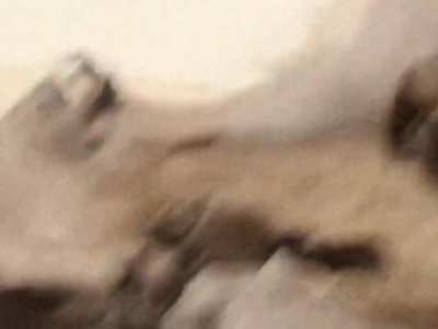 I just posted this jarhead edit I made but sound got removed, here it is