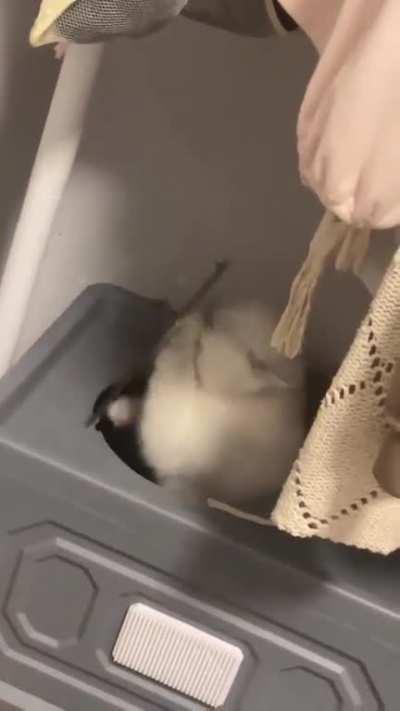 Ohhh 😅💞💞💞