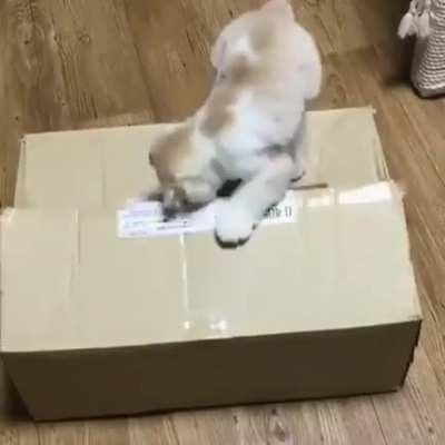 iNnOCenT cAT gETs SuCkED inTo thE fUcKinG AbYss