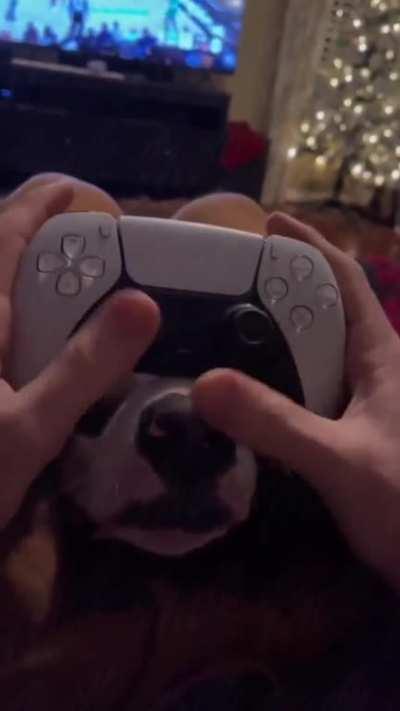 So, why is my controller wet?