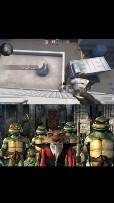 Ninja Turtles