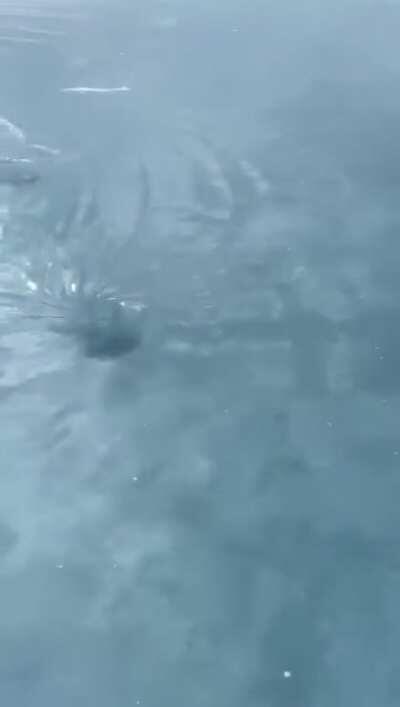 One hour here is seven years on Earth