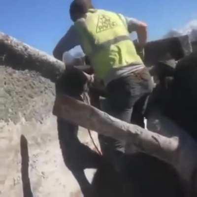 I was searching through my files until I came across this........