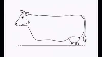 I have this in my gallery for some weird reason