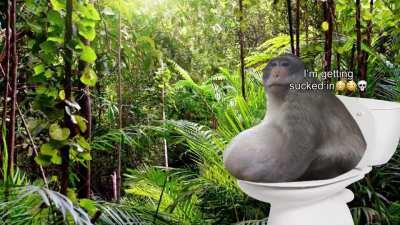 Monke find nethea portal