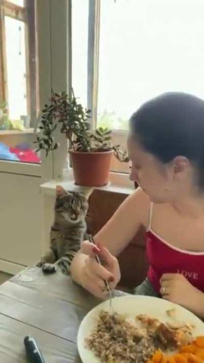 Ест она....делись давай!