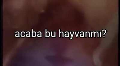 Ateistlerin cevaplayamadığı sorular