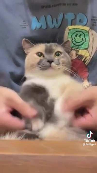 Dancer in the house!