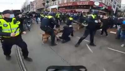 We should use dogs like Netherland