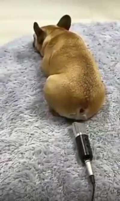 Na sevanae nu thana da iruntha