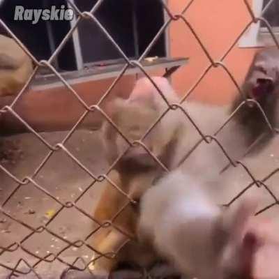 I had to make this lol