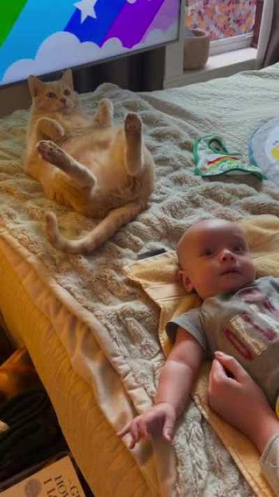 Cat copies baby to get attention
