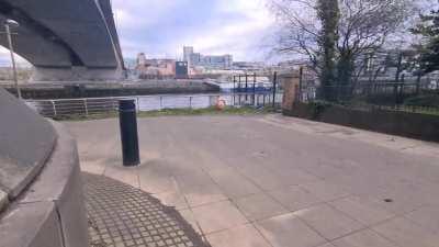 Belly butterflies ( LSD )