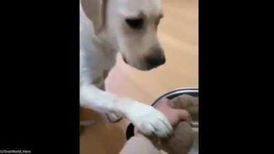 To sacrifice himself...