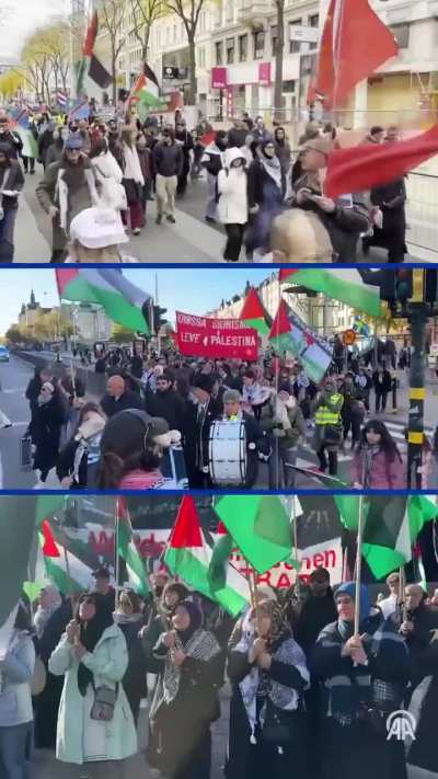 Thousands rally for Gaza, protesting their governments’ and the EU’s policies toward “Israel”