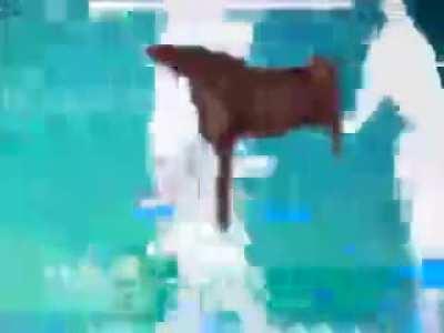 Playing Wii Sports after a lobotomy treatment