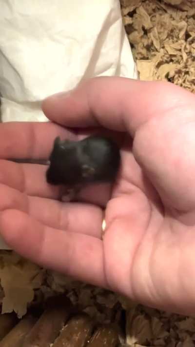 Baby having trouble with one eye