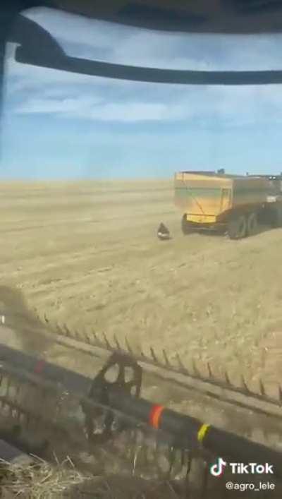 to take a shit in peace