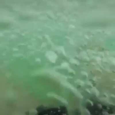 Diving into clear water