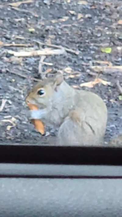 This gave me so much serotonin.