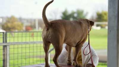 A random (friendly) dog interrupted the interview I was filming