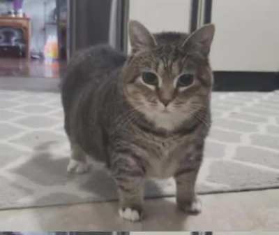 Is this a waterflame song?