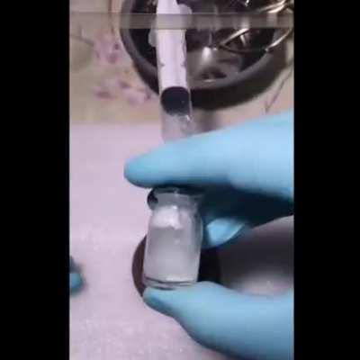 This guy grows a chicken in an open fucking egg