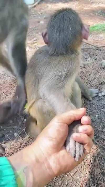 “Wait you not my mom”