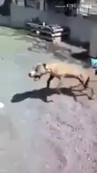 İçimin yağları eridi