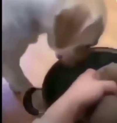 Sacrifices Need To Be Made 🤝