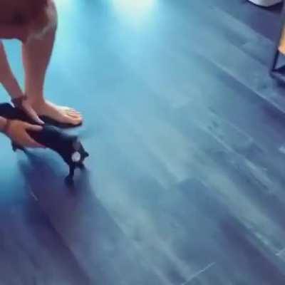 'Do it again! Do it again!' (via pennyandboo1)