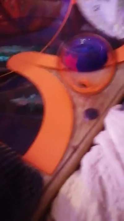 One does not simply comprehend the ring racer’s attack!