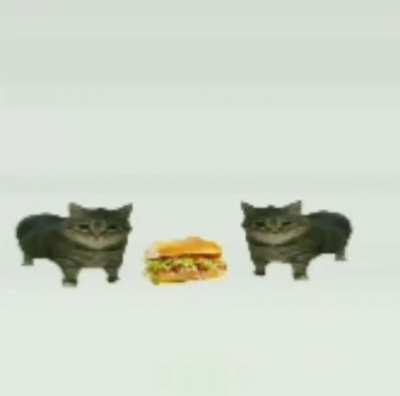 Wait whar is this agaim