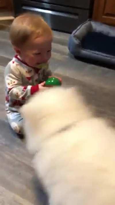 2 yrs ago! My pup met a baby for the first time and had no idea what to do