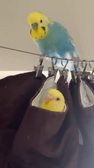 She’s very…special