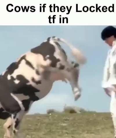 Losercity peak cinema 