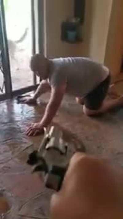 Jy moet jou werkies doen by die huis voor Ma kwaad raak!!