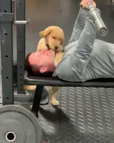 peepoLove muito amor