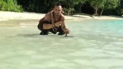 About reposts, unfunny and overused templates