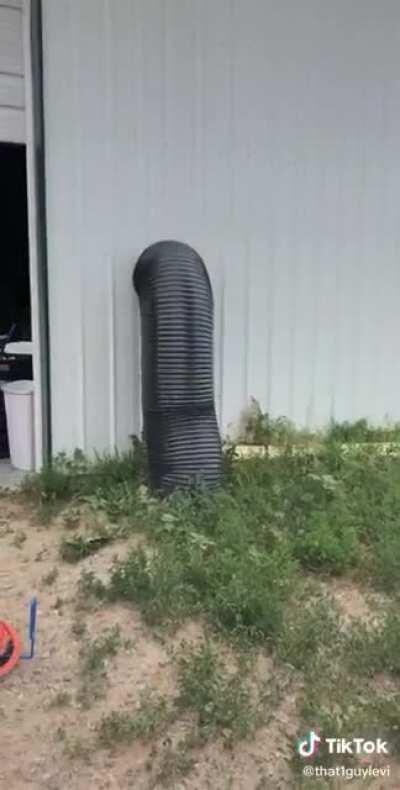 Levi, the cops are lookin for ya