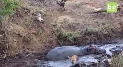 How the tides have turned