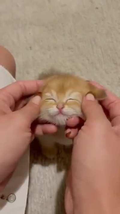 It's soo cuteeee I cant