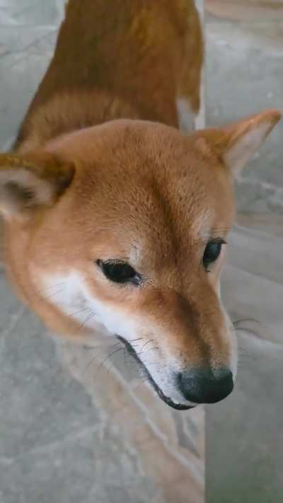 How's your cat doing today?