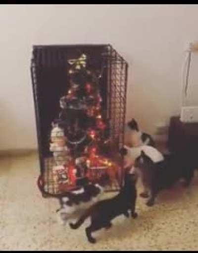 If we all work together, we can destroy the evil plant