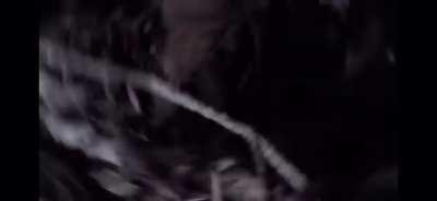 Be Careful What You Wish For