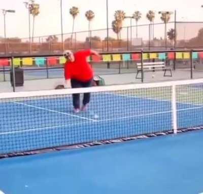 HMF as I pickle ball