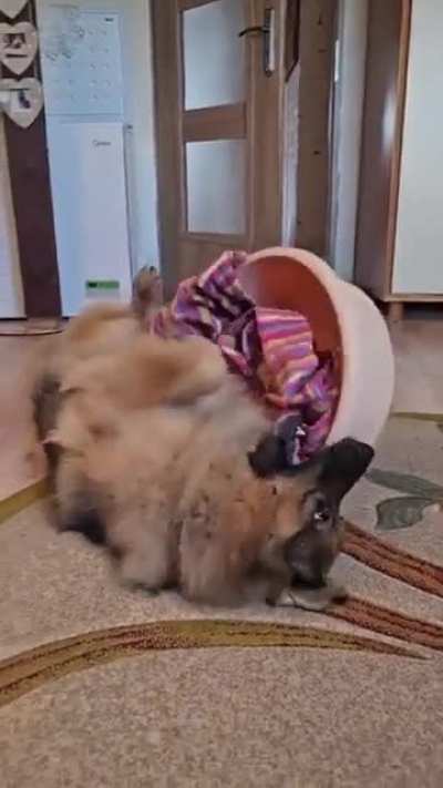 Who needs toys when theres a basin